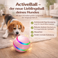 ActiveBall – Intelligente Beschäftigung für aktive Haustiere