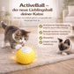 ActiveBall – Intelligente Beschäftigung für aktive Haustiere