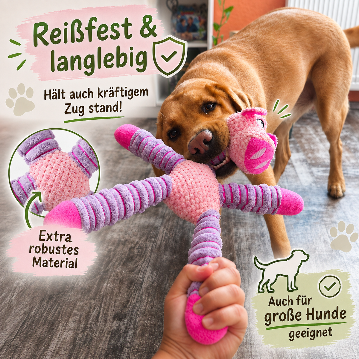 Zappelbande – das tierisch lustige Hundespielzeug