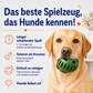 PfotenSnack – entspannte Beschäftigung für glückliche Hundemomente
