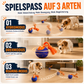 Wicked Ball Rolly  - Der intelligente Spielball