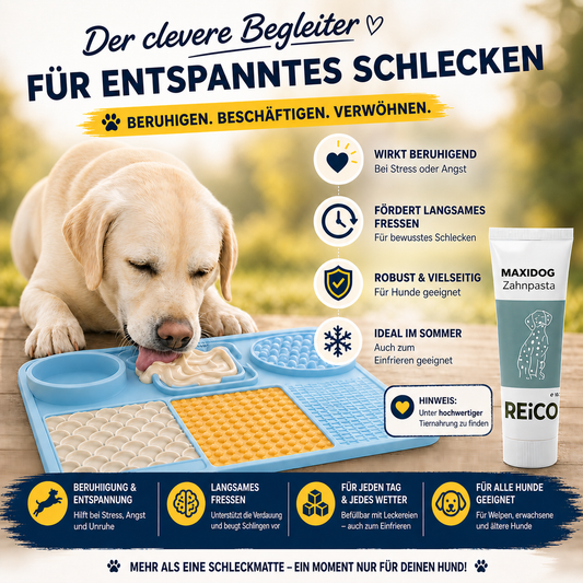 Clevere Schleckmatte  – Spielspaß, Auslastung und Training