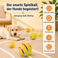 ActiveBall – Intelligente Beschäftigung für aktive Haustiere