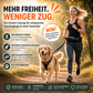 Leine & Tasche Duo – Freihändig joggen, alles Wichtige griffbereit