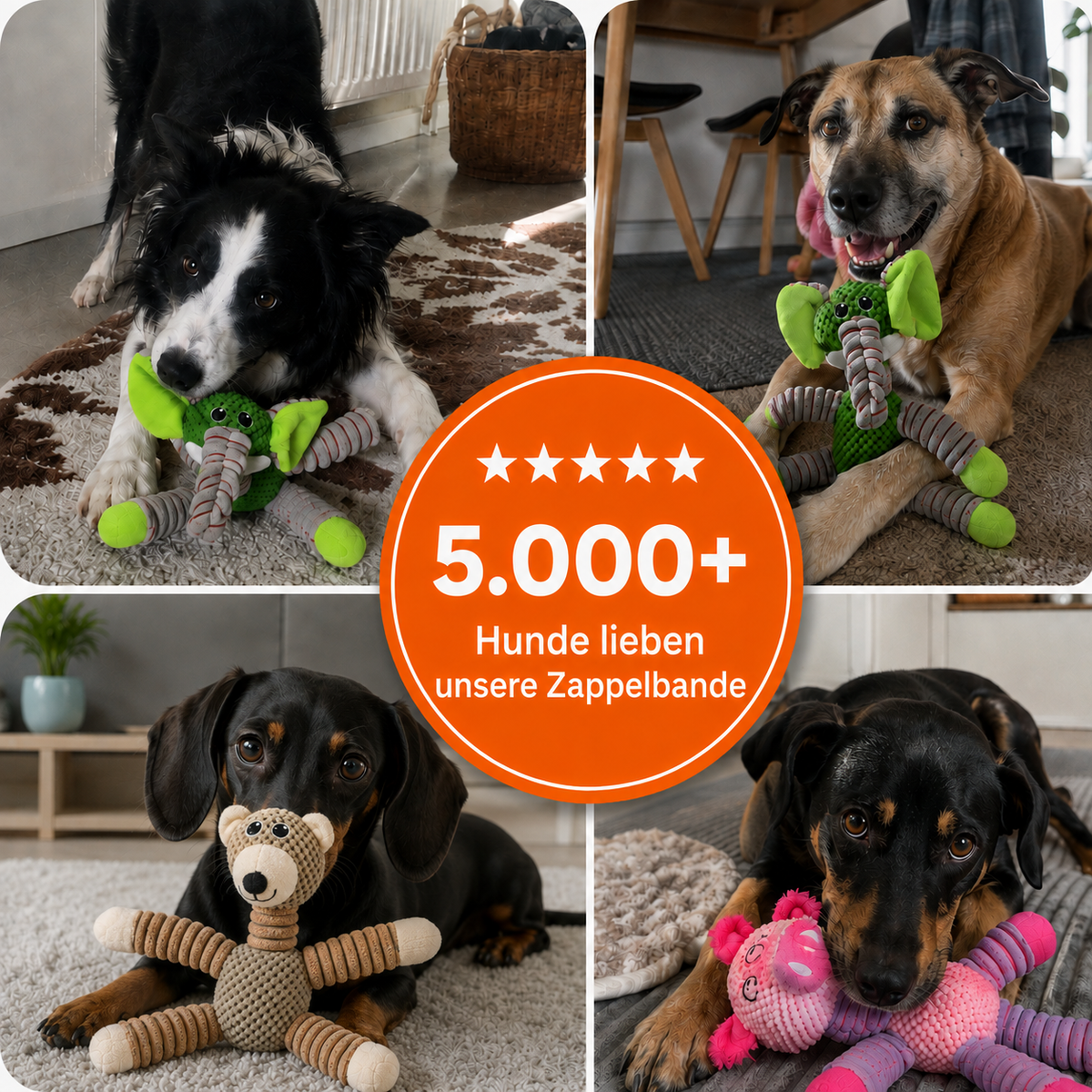 Zappelbande – das tierisch lustige Hundespielzeug