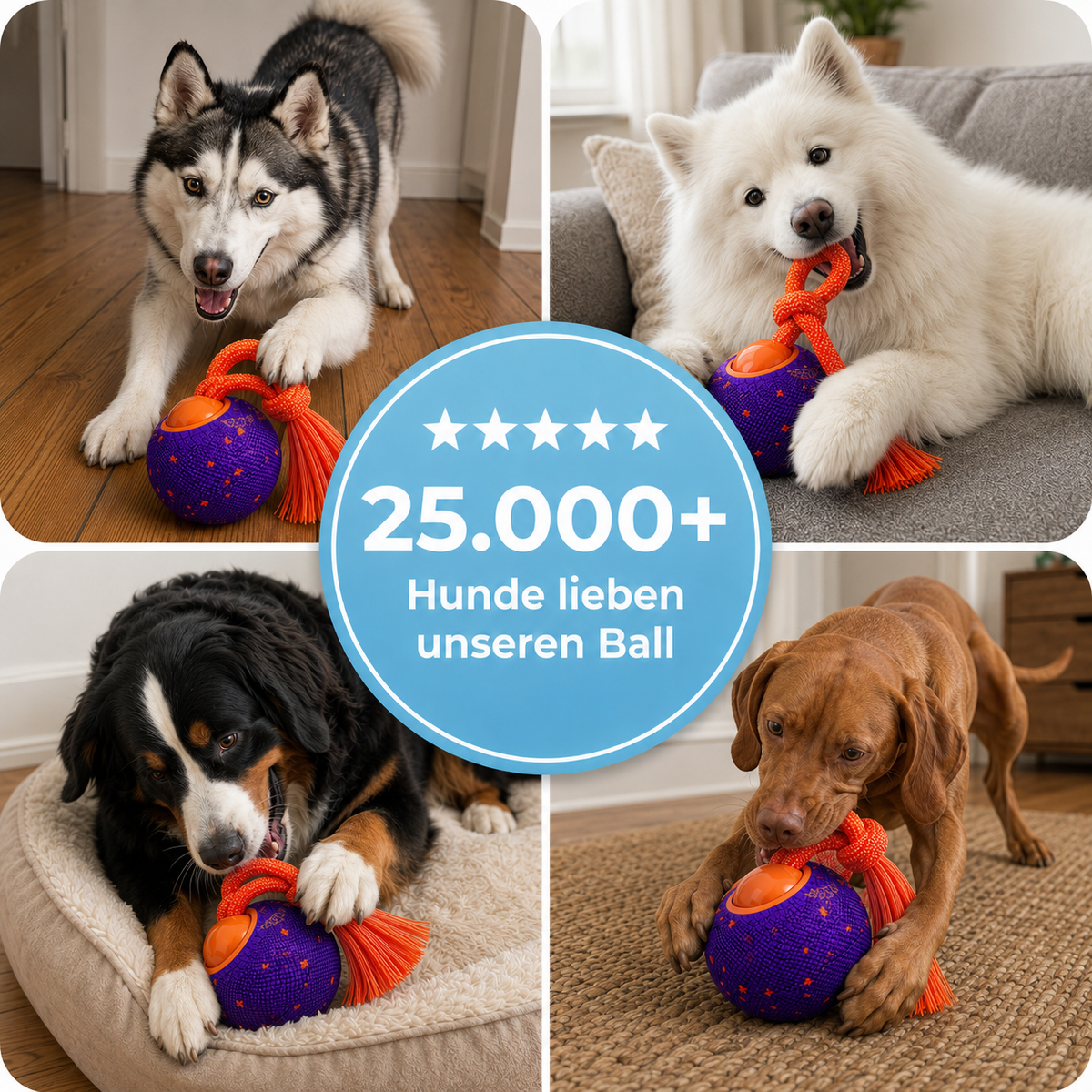 Wicked Ball Rolly  - Der intelligente Spielball