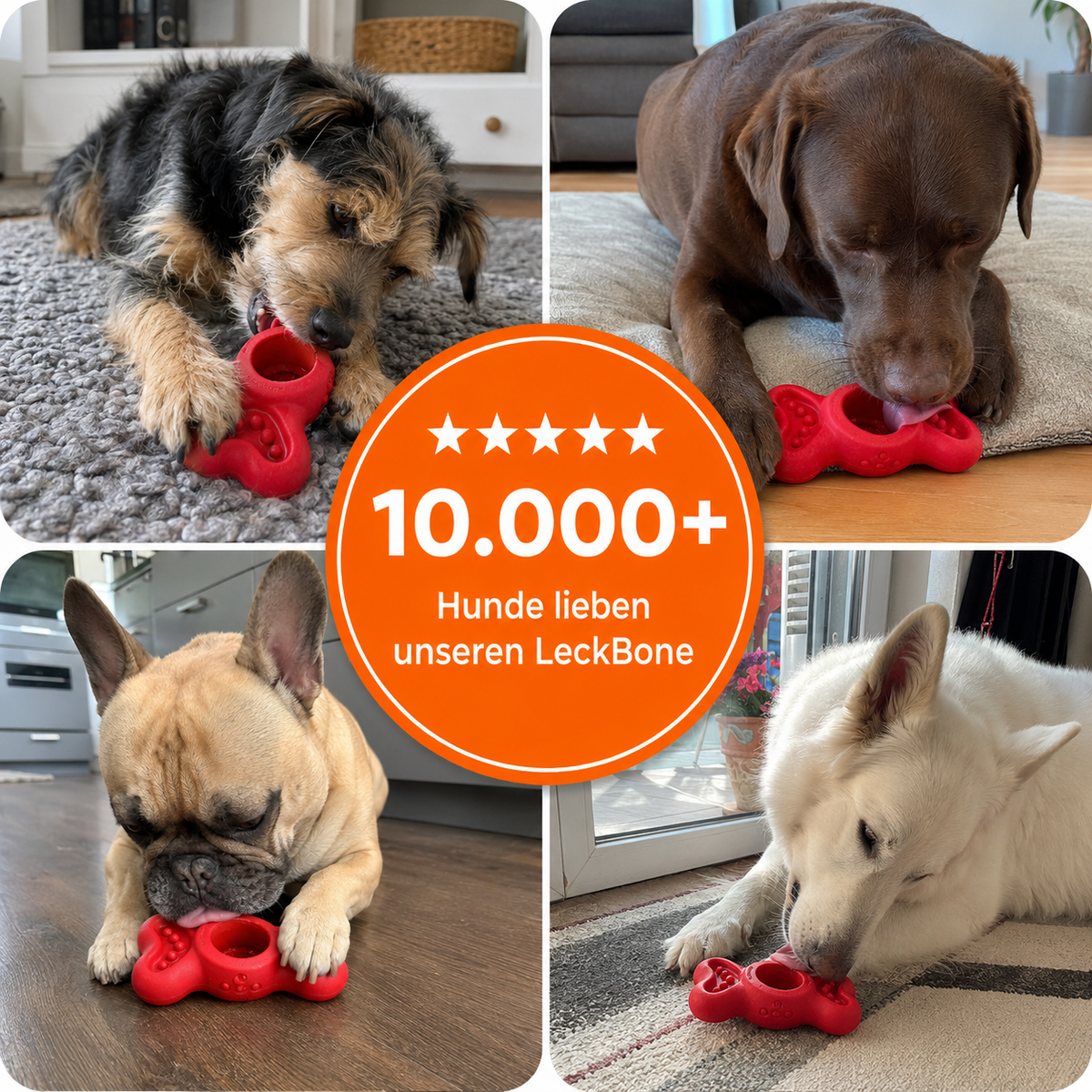LeckBone – Schleck- & Kauspielzeug für Hunde