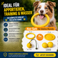 Wurf- und Wasserspielzeug im 4er Bundle für aktive Hunde