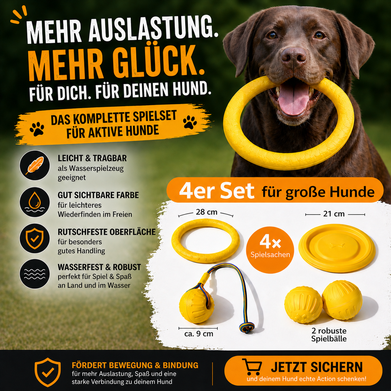 Wurf- und Wasserspielzeug im 4er Bundle für aktive Hunde
