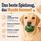PfotenSnack Form – entspannte Beschäftigung für glückliche Hundemomente