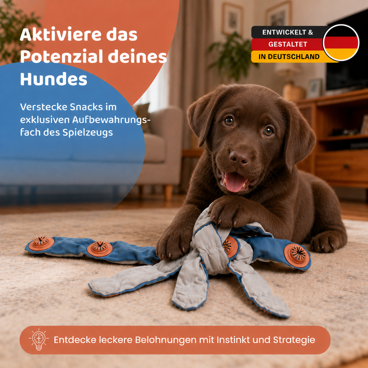 SnackBuddy - das Leckerli-Spielzeug gegen Langeweile und Unruhe