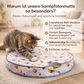 Samtpfoten-Matte – Interaktives Spielversteck für neugierige Katzen
