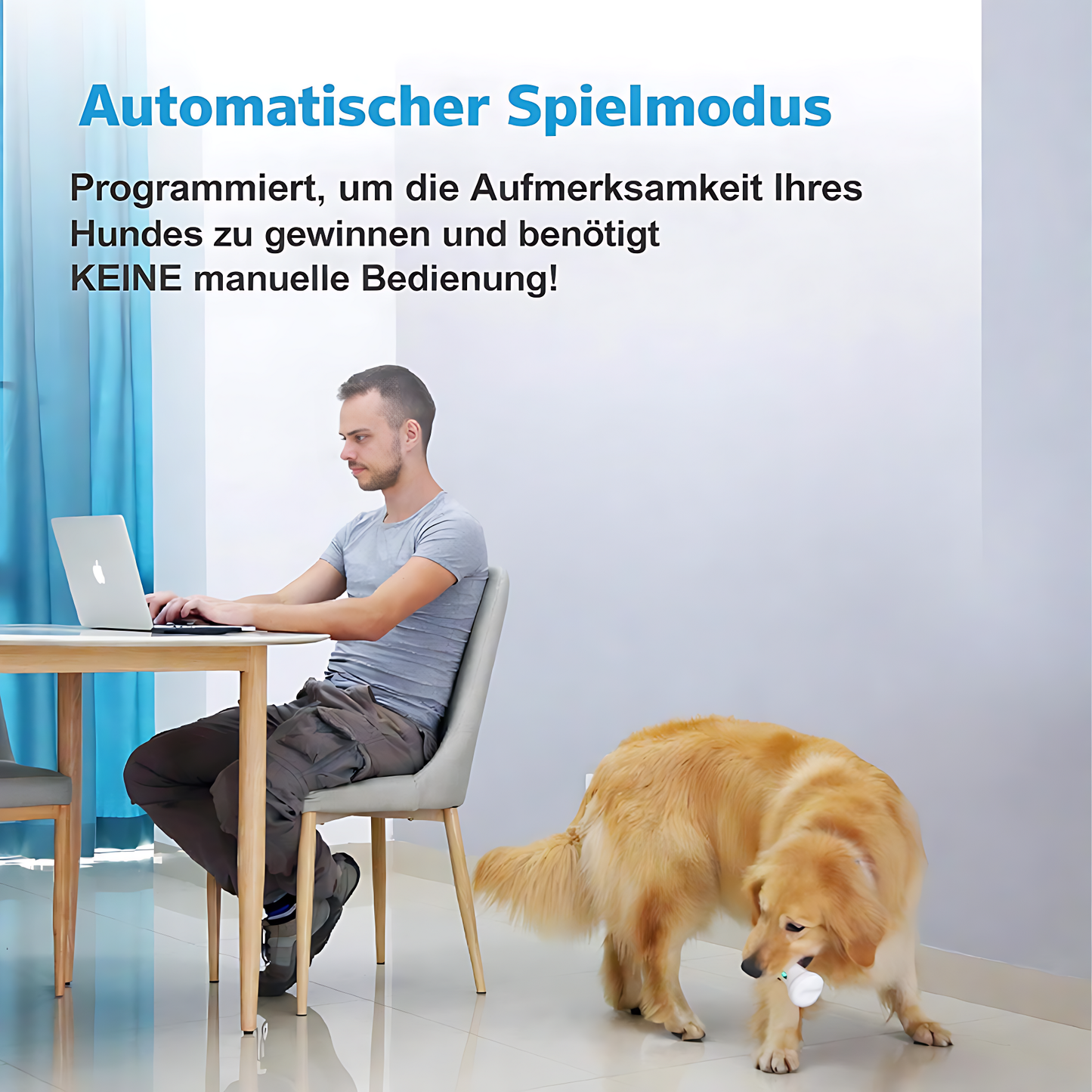 Wickedbone™ – das smarte Spielzeug gegen Langeweile und unausgelasteten Hunden