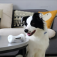 Wickedbone™ – das smarte Spielzeug gegen Langeweile und unausgelasteten Hunden