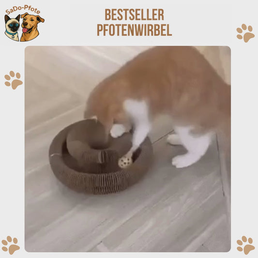 Pfotenwirbel – Interaktiver Spielspaß, der Katzen instinktiv begeistert